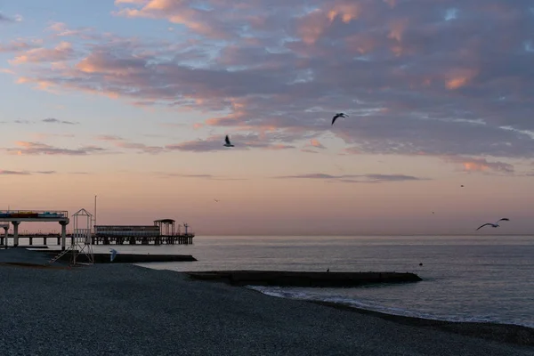Gün Batımında Martılar Karadeniz Üzerinde Uçar — Stok fotoğraf