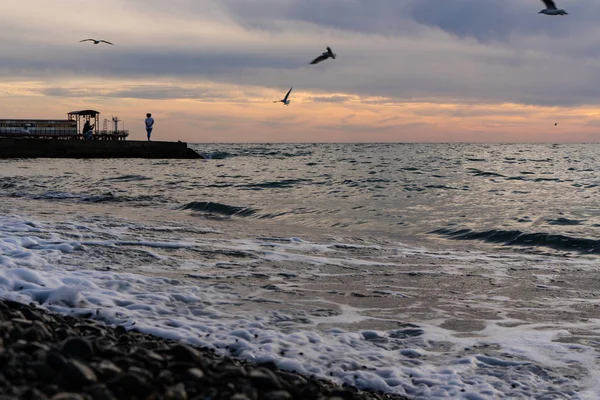 Las Gaviotas Vuelan Sobre Mar Negro Atardecer — Foto de Stock