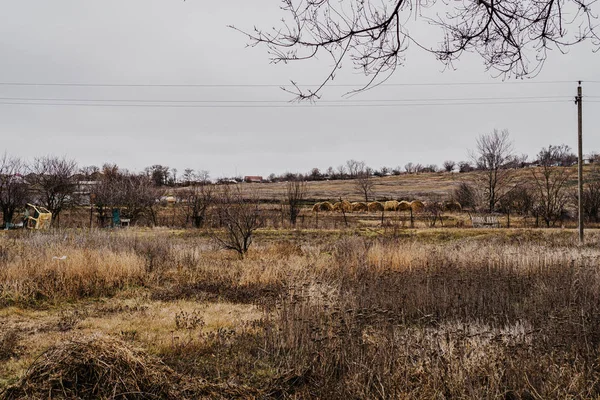 Paysage Rural Automne — Photo