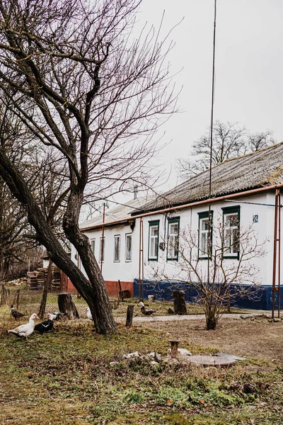 Casa Interior Rural — Fotografia de Stock