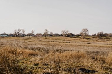 trees and houses on a hill