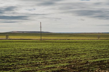 green field and snowy slopes