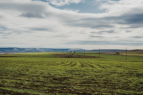 Campo Verde Laderas Nevadas — Foto de Stock