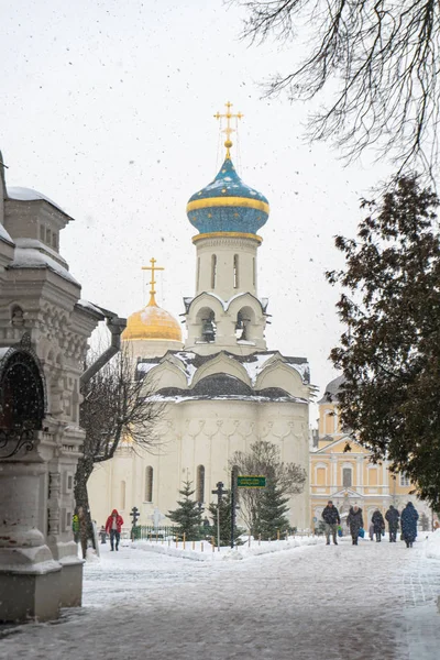 Sergiev Posad Laurel Snöfall — Stockfoto