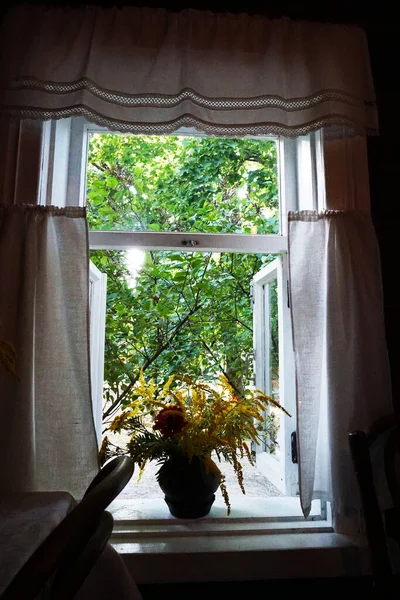 Wildblumen Einer Vase Stehen Auf Einem Offenen Holzfenster — Stockfoto