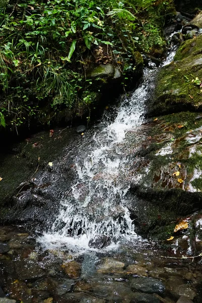 Água Flui Pelas Pedras Para Rio — Fotografia de Stock