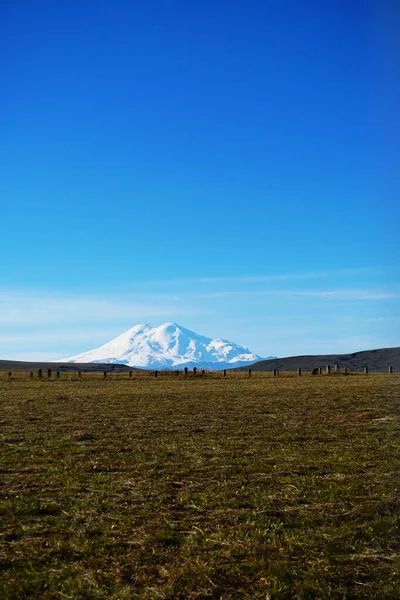 Volcán Elbrus Verano Desde Meseta Bermamyt Rusia — Foto de Stock