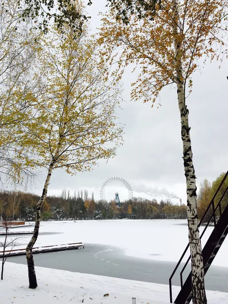 Izmailovsky Park Moscow Cloudy Winter Day — Stock Photo, Image