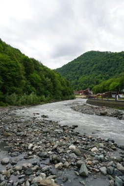 Soçi 'deki Rosa Khutor' da bahar.