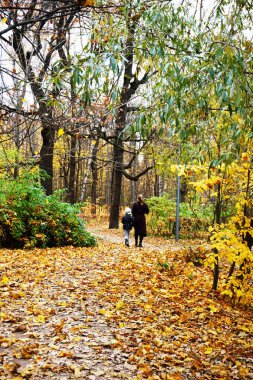 Moskova 'daki Sokolniki parkında sonbahar