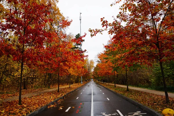 Осень Парке Сокольники Москве — стоковое фото