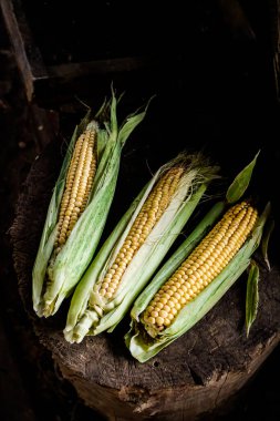 Yeşil kabuklu taze sarı mısır bir masada yatıyor.