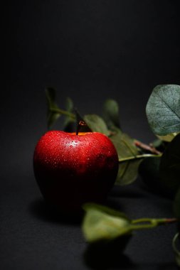 Siyah arkaplanda su damlaları olan kırmızı elma.