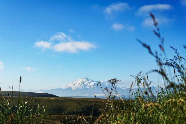 Vista Para Vulcão Elbrus Verão — Fotografia de Stock