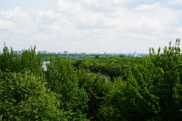 Utsikt Över Moskva Från Kolomenskoye Park Sommar — Stockfoto