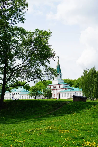 Kolomenskoye parkı yazın Moskova 'da