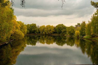 Sonbaharda Timiryazev Akademisi yakınlarındaki tarla tarlası.