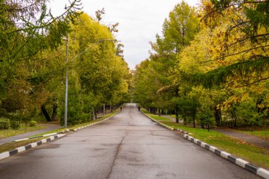 Sonbaharda Timiryazev Akademisi yakınlarındaki tarla tarlası.