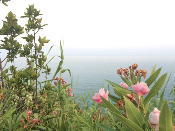 view of the calm sea