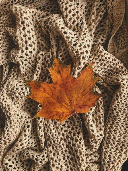 Outono Folhas Amarelas Mentira Suéter Malha — Fotografia de Stock