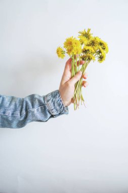 Kırmızı ceketli kız elinde sarı karahindiba tutuyor.