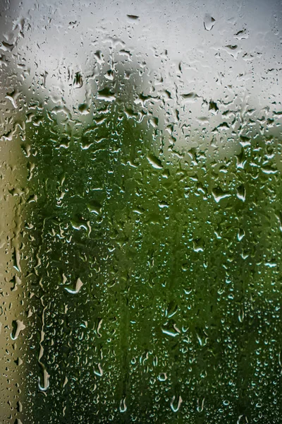 Gotas Chuva Correm Pelo Copo Verão — Fotografia de Stock