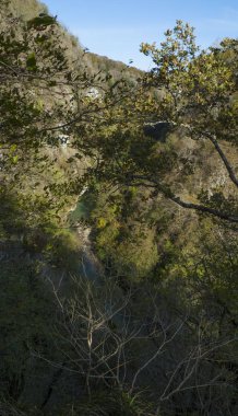 05.11.2017. Rusya. Soçi. H. G. Shaposhnikov adını taşıyan Kafkas devleti doğal biyosfer rezervi.