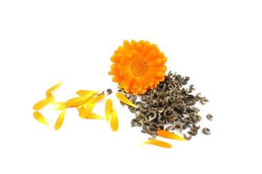 Calendula çiçek, kadife çiçeği, tohum