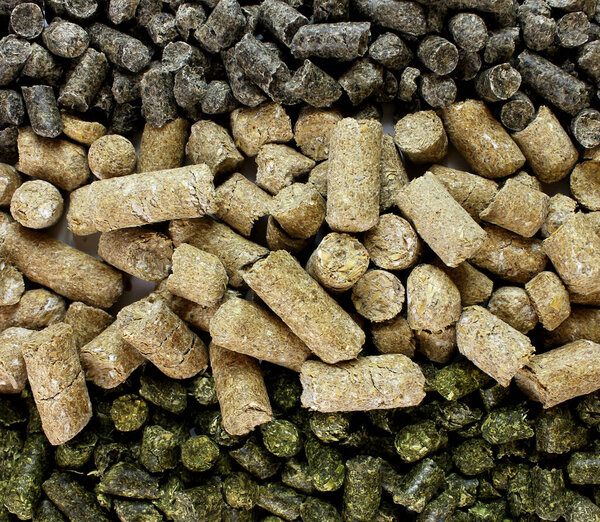 Compoud feed form animals or livestock in three rows. Different types of granules for feeding.