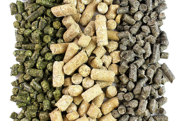 Compoud feed form animals or livestock in three rows. Different types of granules for feeding isolated on white background.
