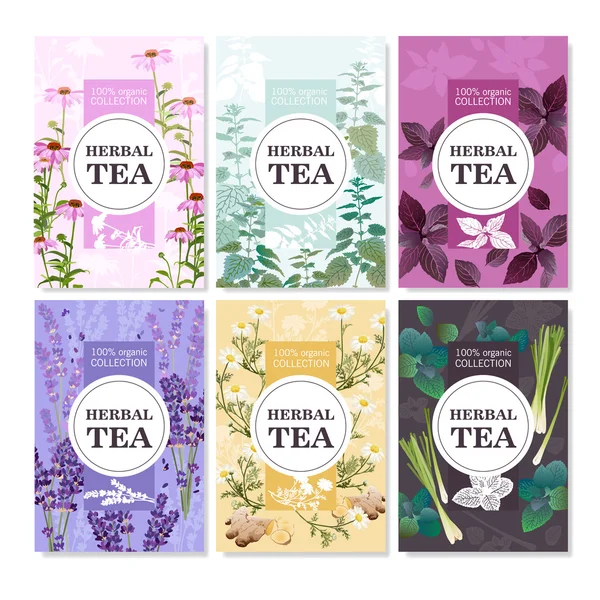 Bitkisel çay renkli afiş kümesi — Stok Vektör