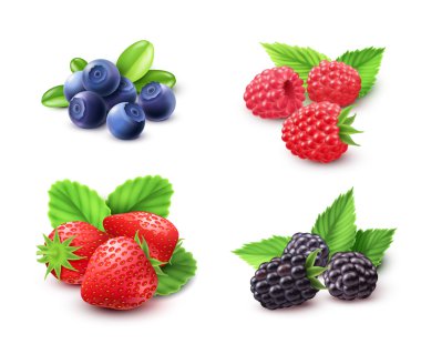 Berry Gerçekçi Set