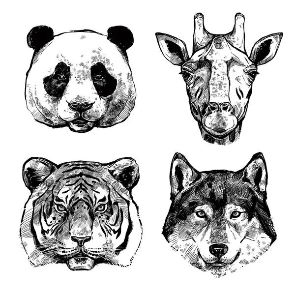 Hand Drawn Animals Portraits — Stock vektor