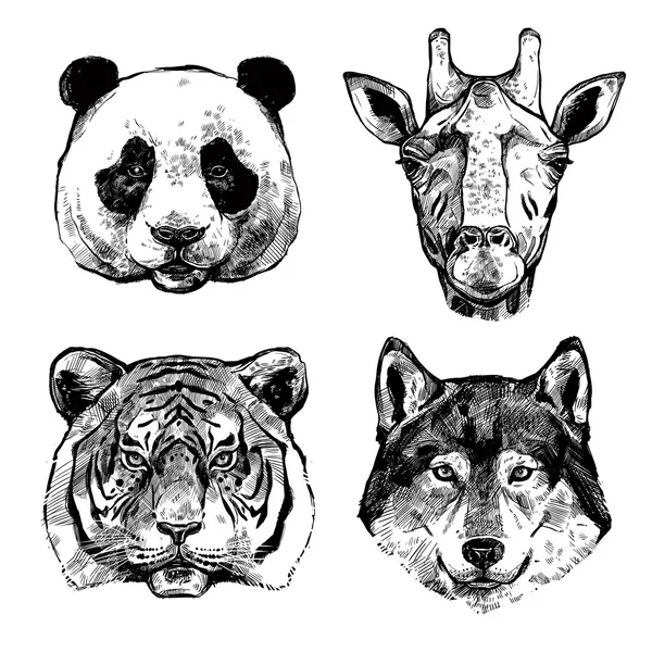 Hand Drawn Animals Portraits — ストックベクタ