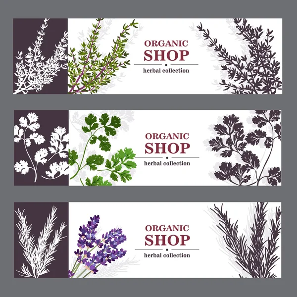 Banners de loja orgânica com ervas —  Vetores de Stock