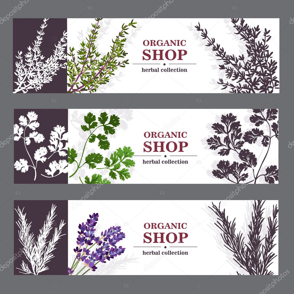 Organic Shop Banners With Herbs