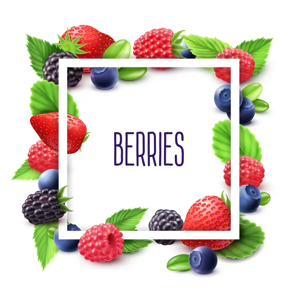 Berries e quadro conjunto realista — Vetor de Stock