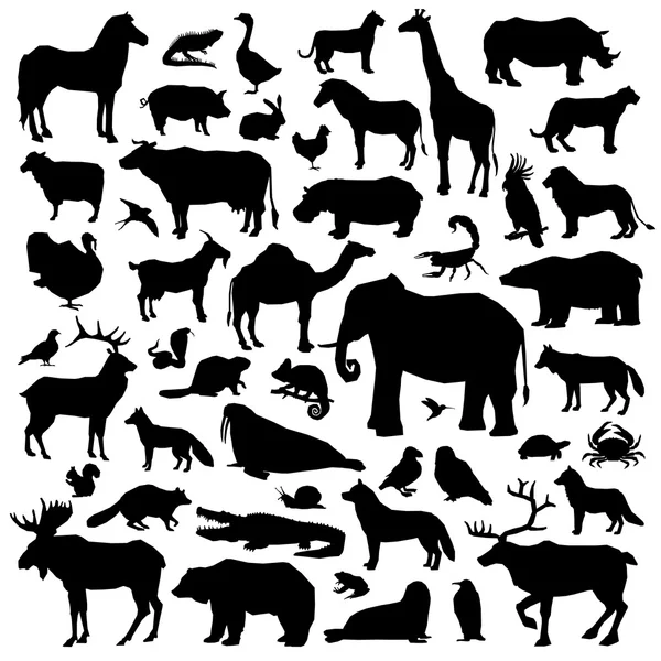Animals Suilhouette Big Set — Stock Vector