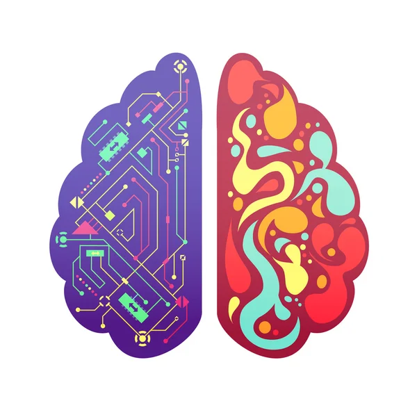 Imagen colorida simbólica del cerebro izquierdo derecho — Vector de stock