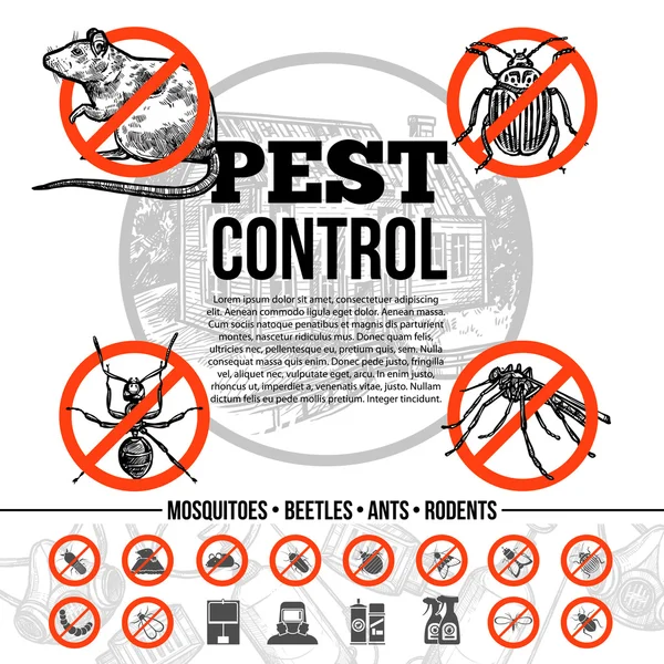 Pest Control Infographics — Stock Vector