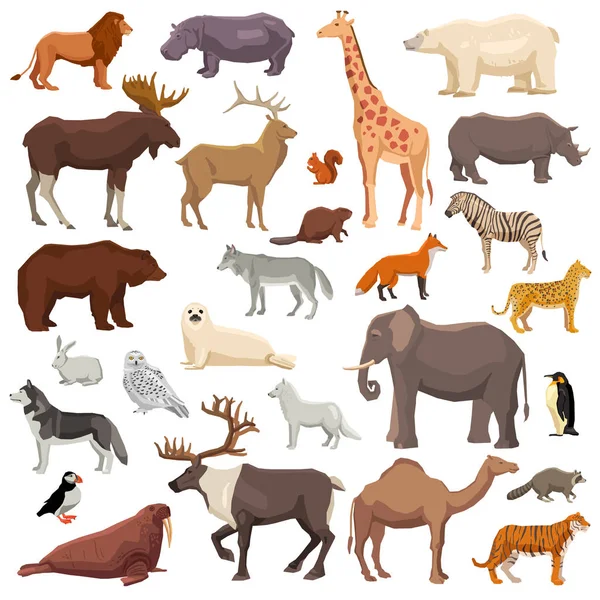 Animals Big Set Stock Illustration