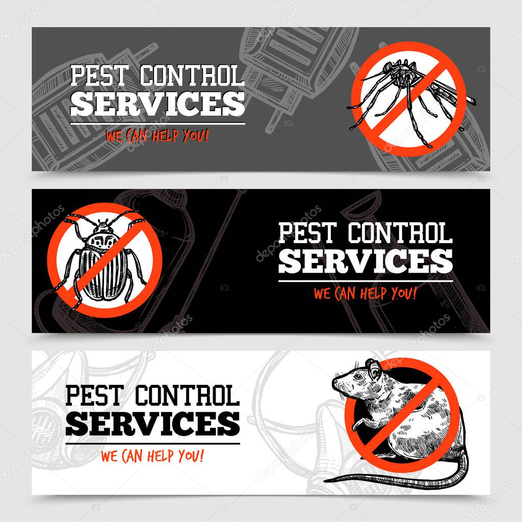 Sketch Pest Control Insect Banners — Stock Vector © macrovector 129610884