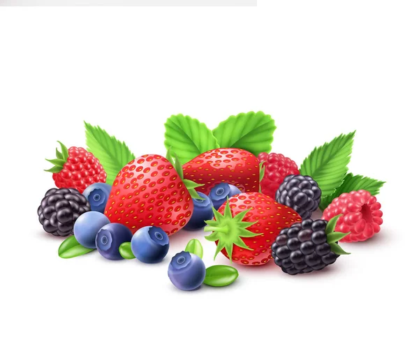 Berries Realistic Composition — Stock Vector