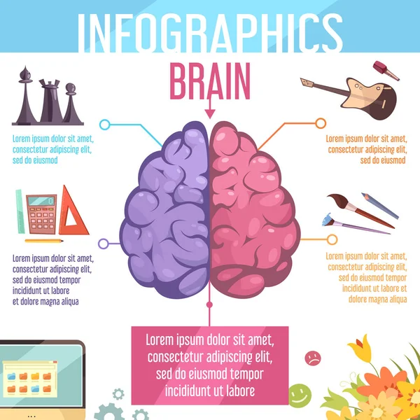 Cerveau Hémisphères cérébraux Fonctions Infographie Affiche — Image vectorielle