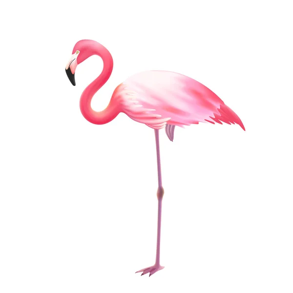 Pembe Flamingo bir bacak gerçekçi simgesi — Stok Vektör