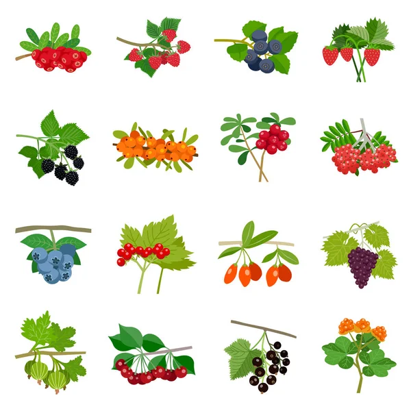 Набор разноцветных иконок для ягод — стоковый вектор