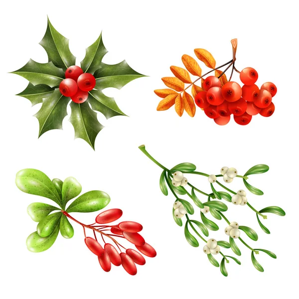 Christmas Berry Branches Set — Stock Vector