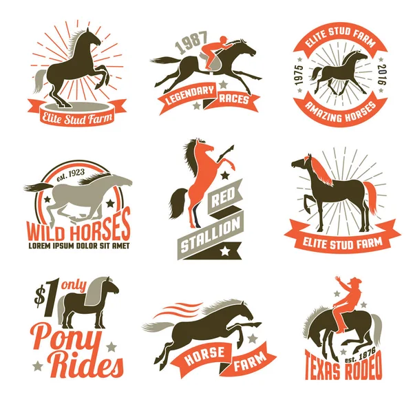 Horse breeding labels emblems set — Stock Vector