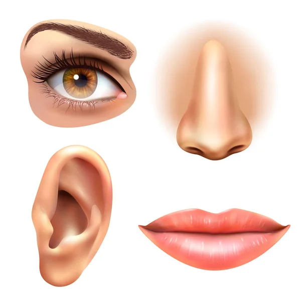 Μάτι αυτί χείλη μύτη εικόνες Set — Διανυσματικό Αρχείο