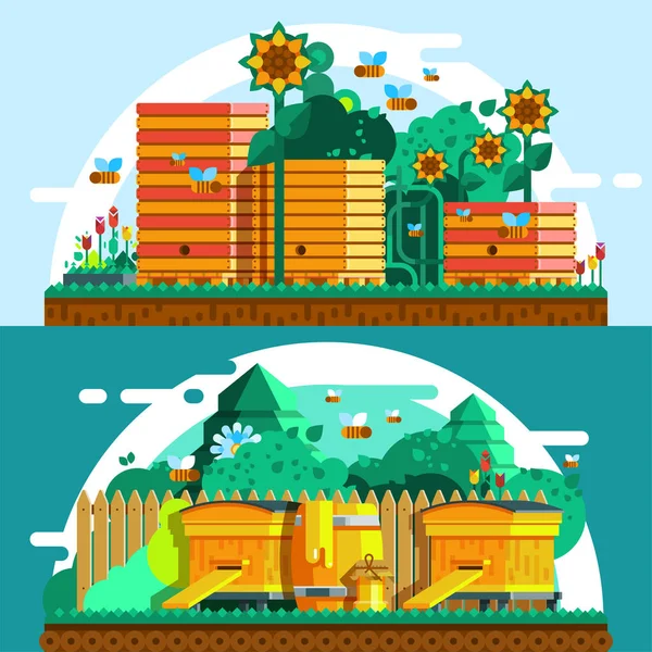 Modèle de bannières horizontales pour l'apiculture — Image vectorielle